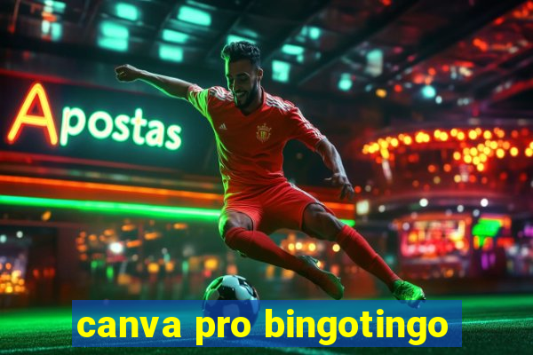 canva pro bingotingo